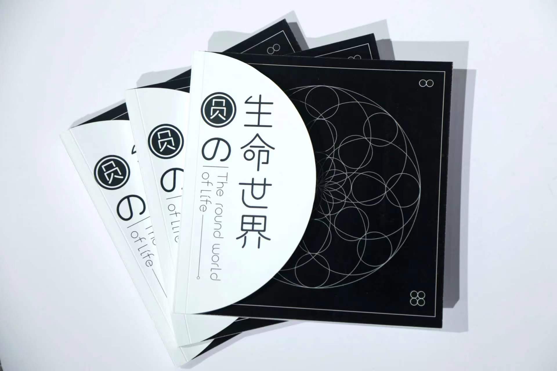 圆的生命世界 – 平面设计