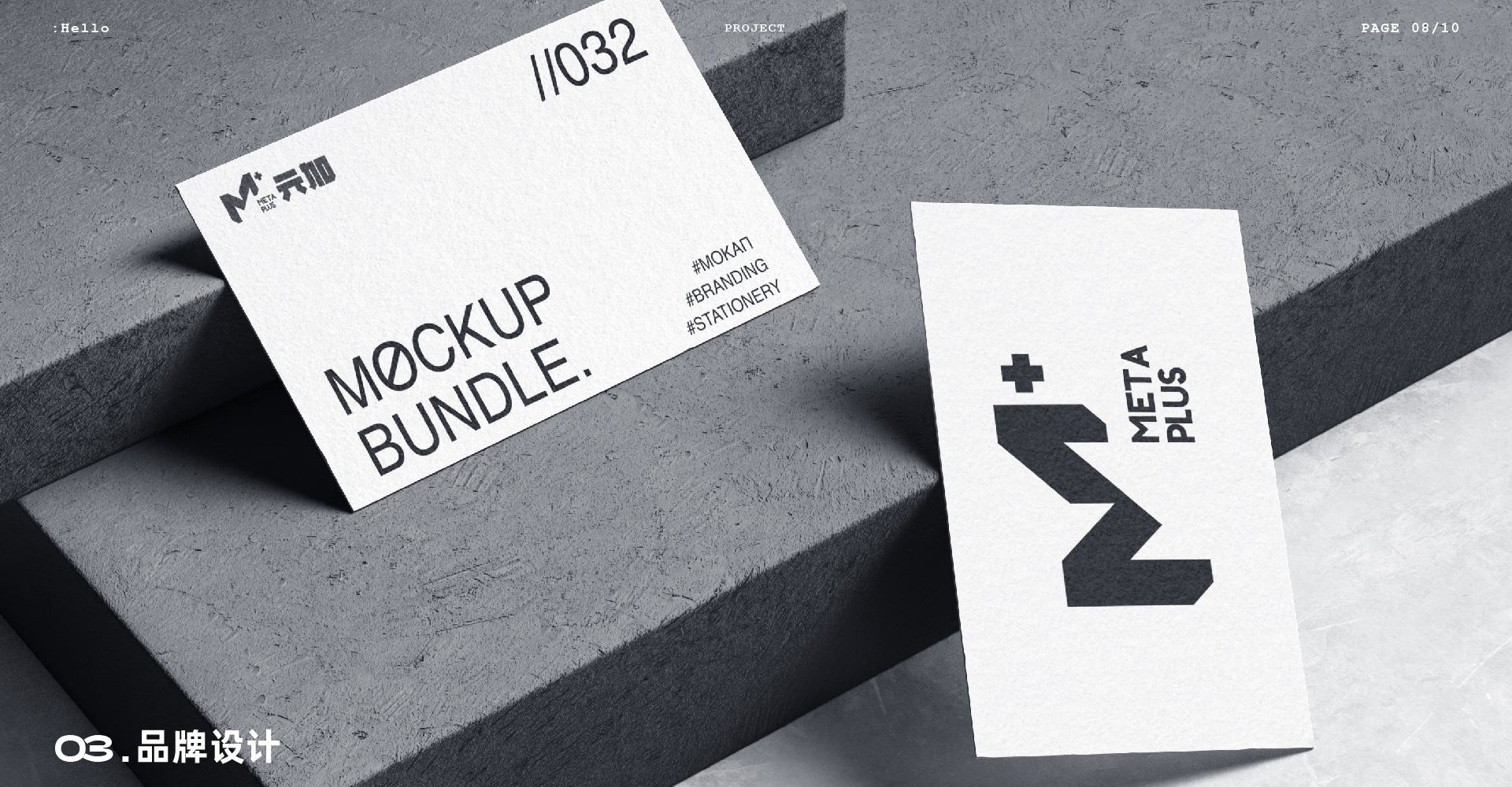 2022 MetaPlus 元加品牌设计作品 – 平面设计