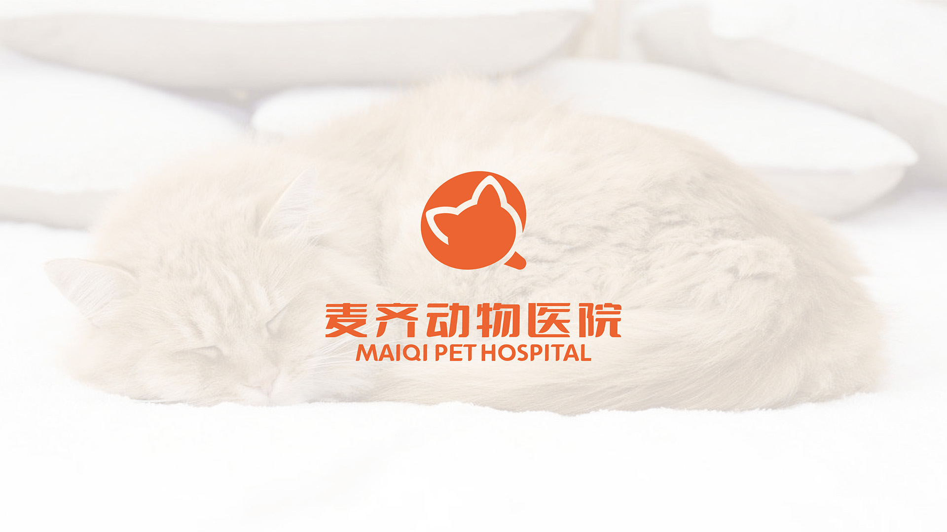 宠物品牌标志形象设计