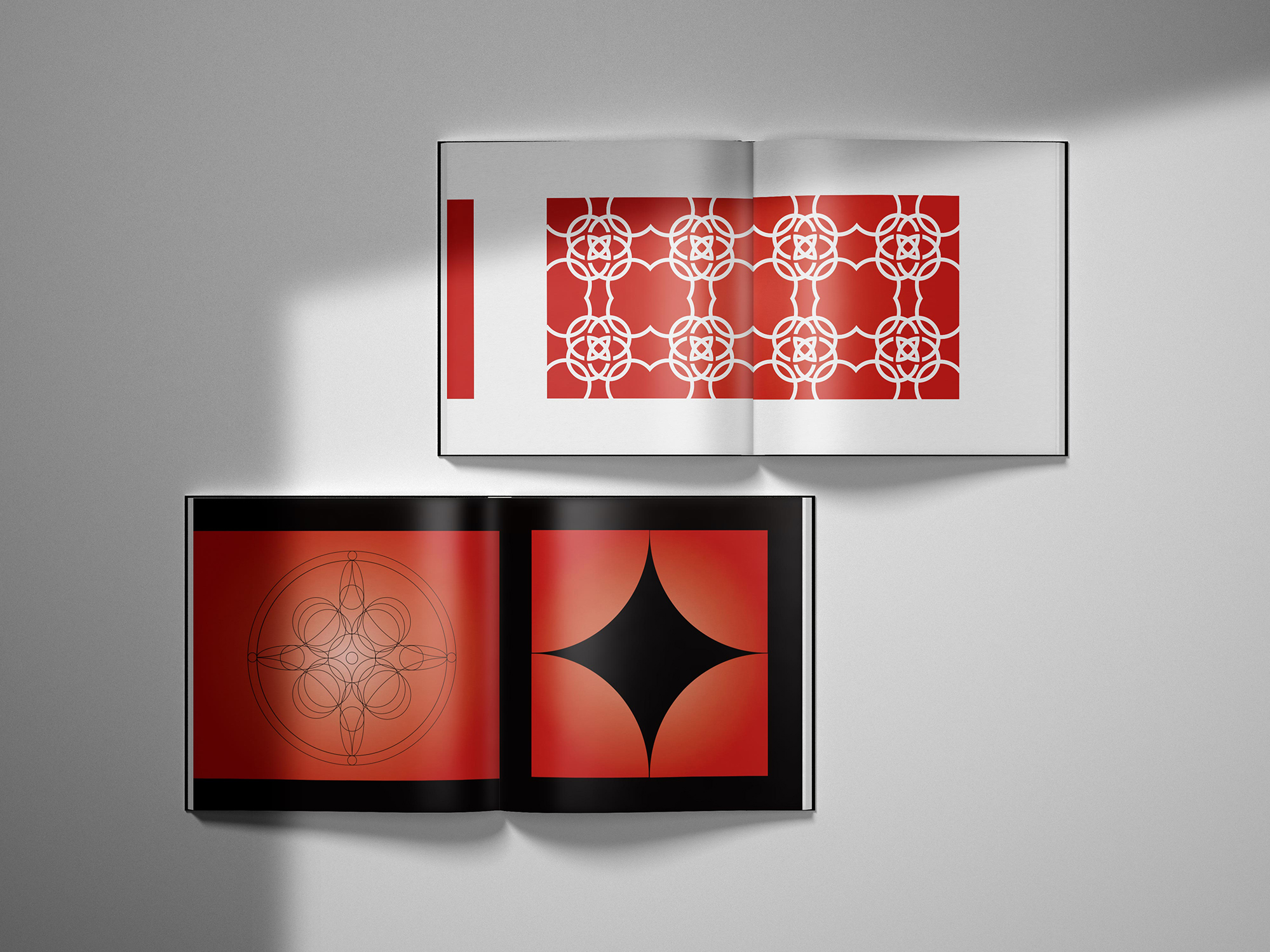 圆的生命世界 – 平面设计