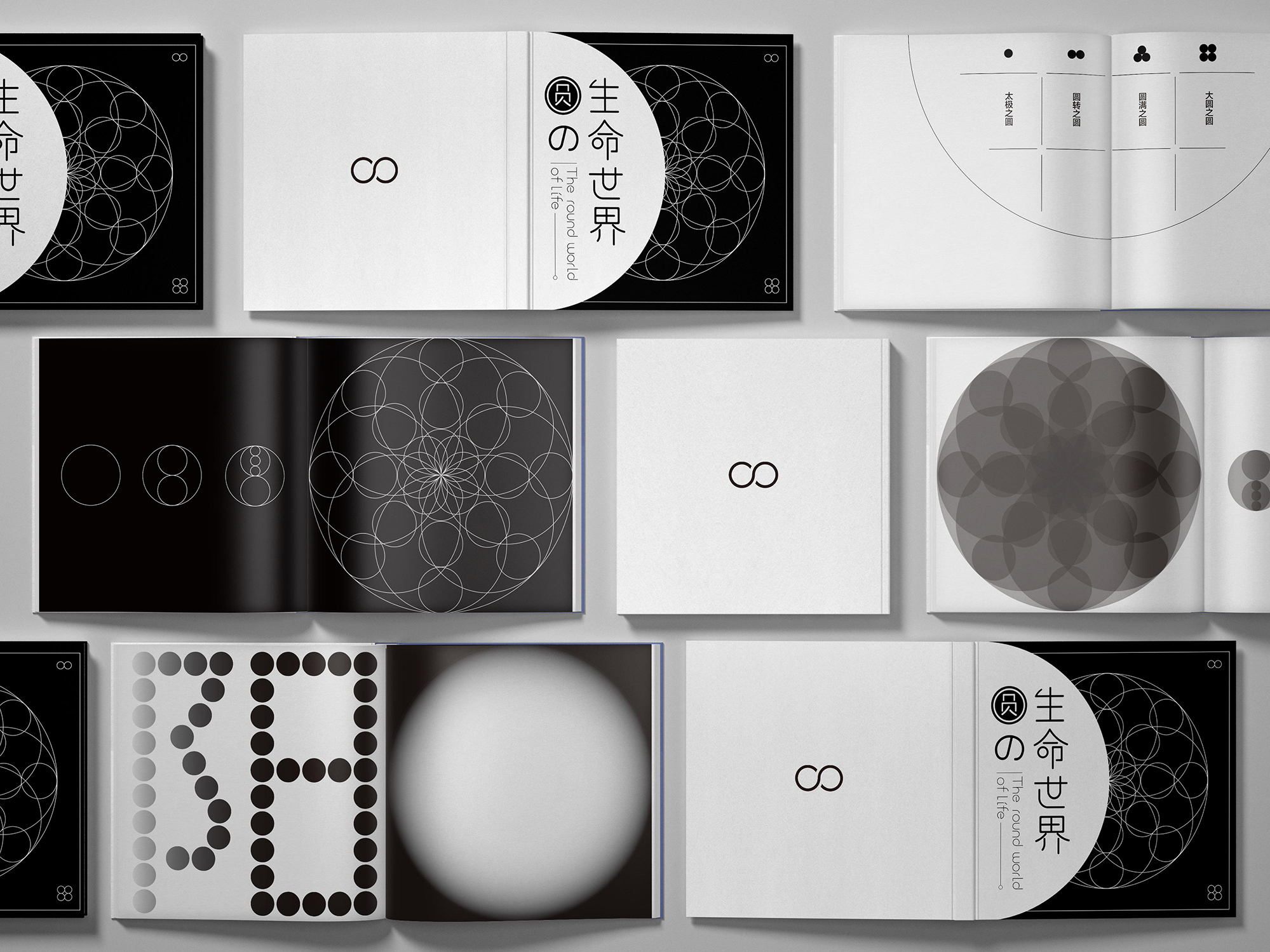 圆的生命世界 – 平面设计
