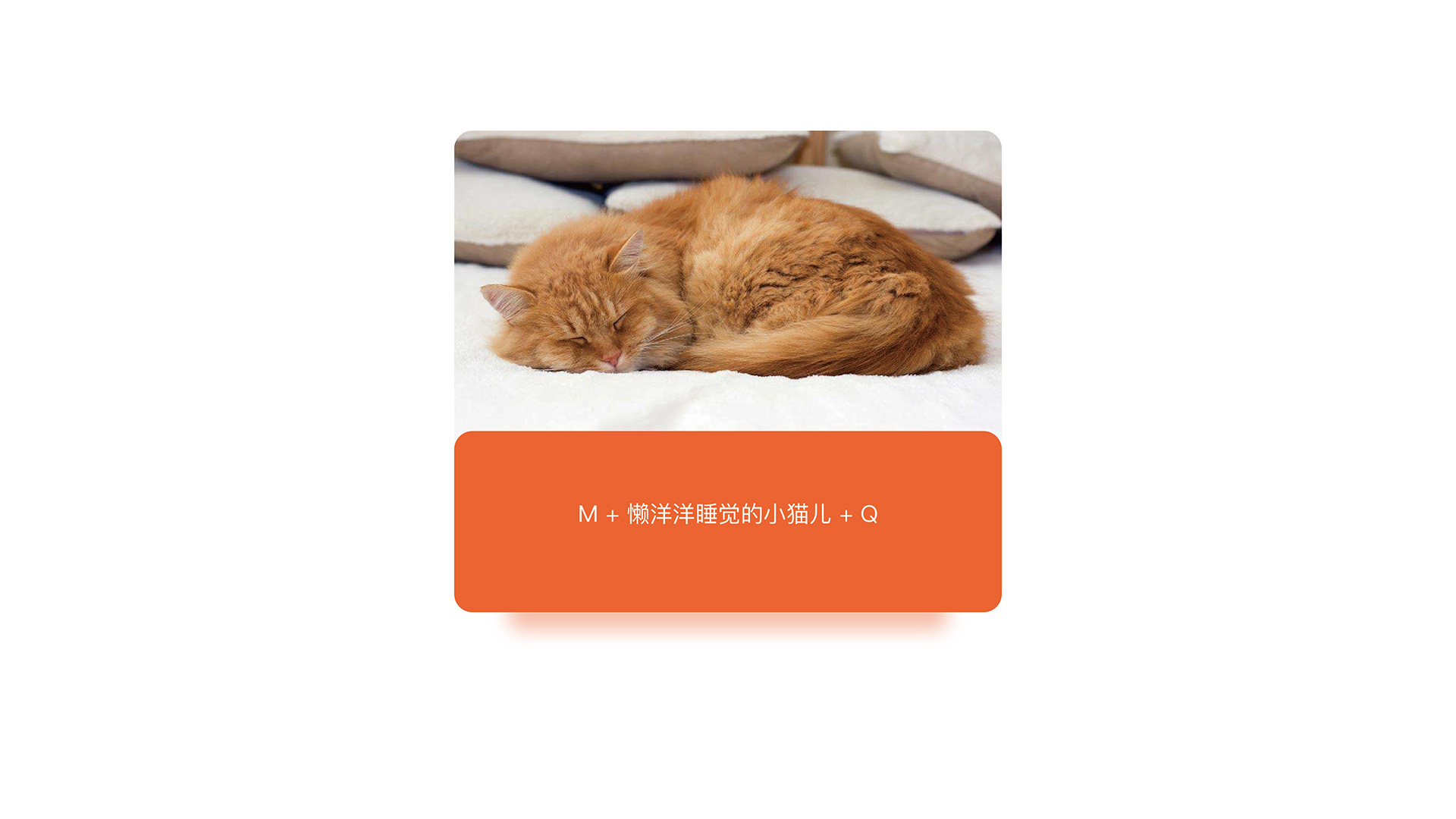 宠物品牌标志形象设计