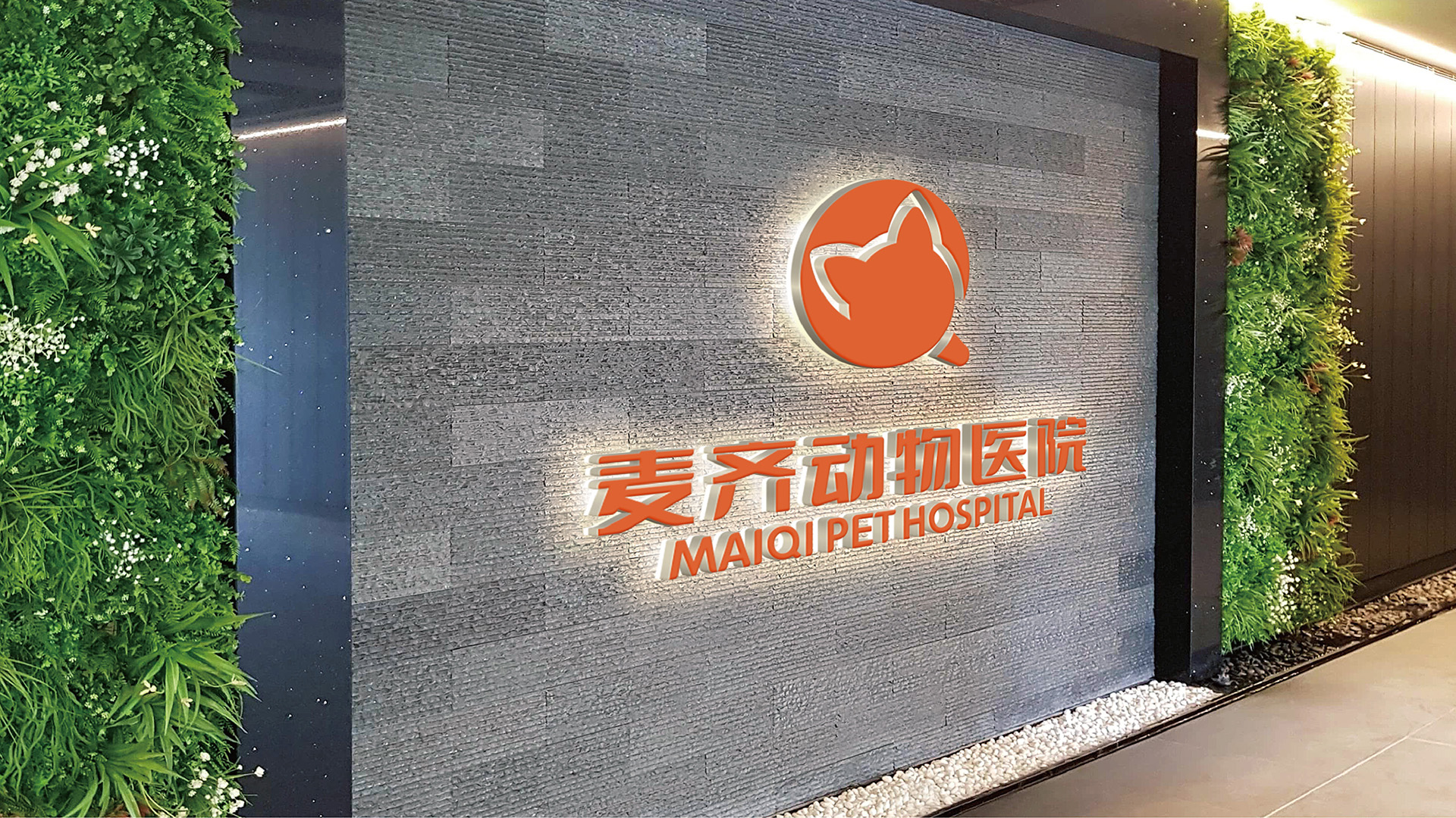 宠物品牌标志形象设计