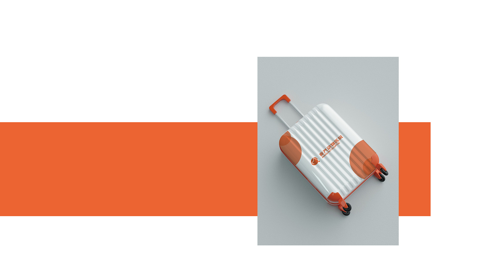 宠物品牌标志形象设计