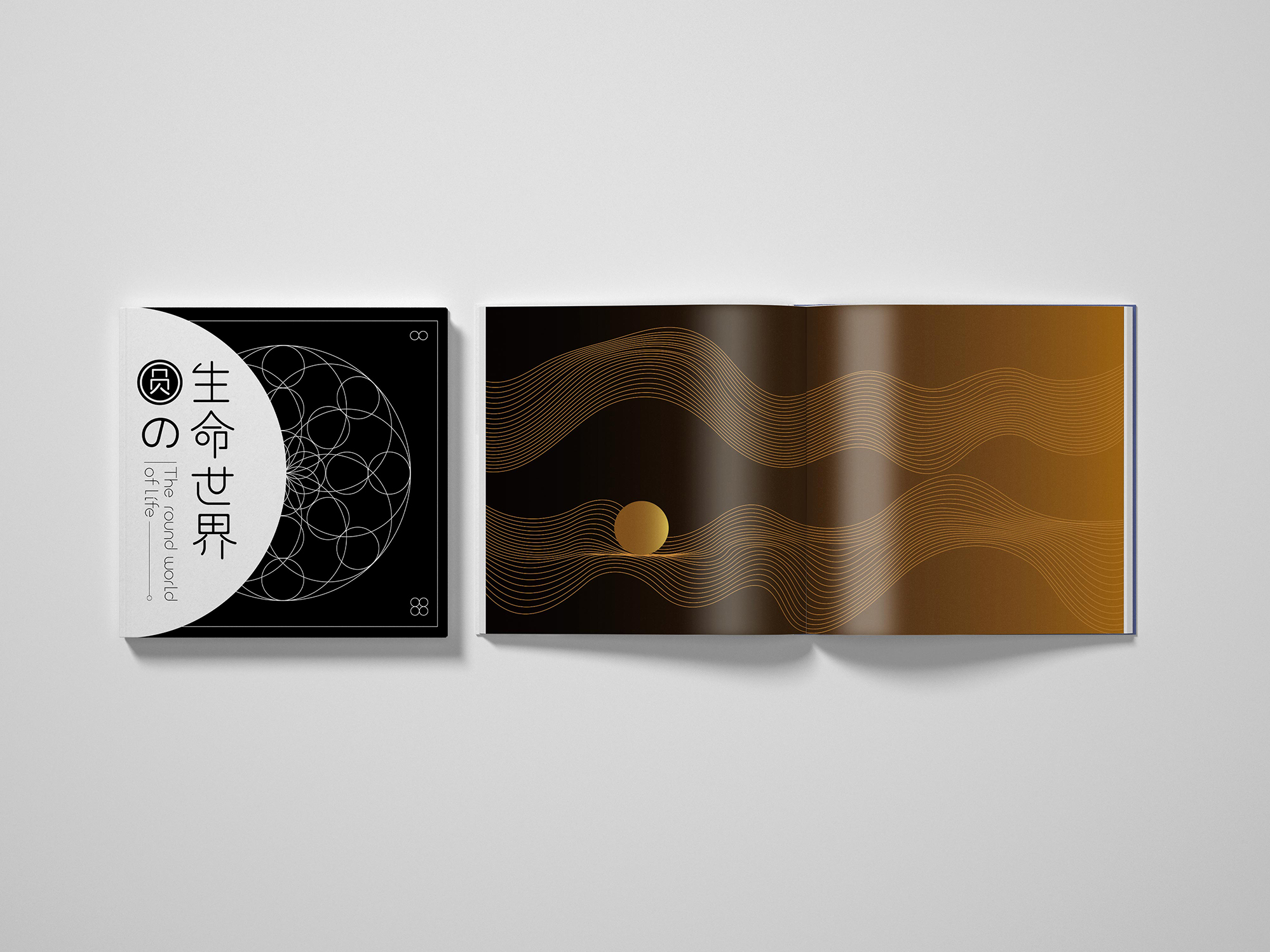 圆的生命世界 – 平面设计